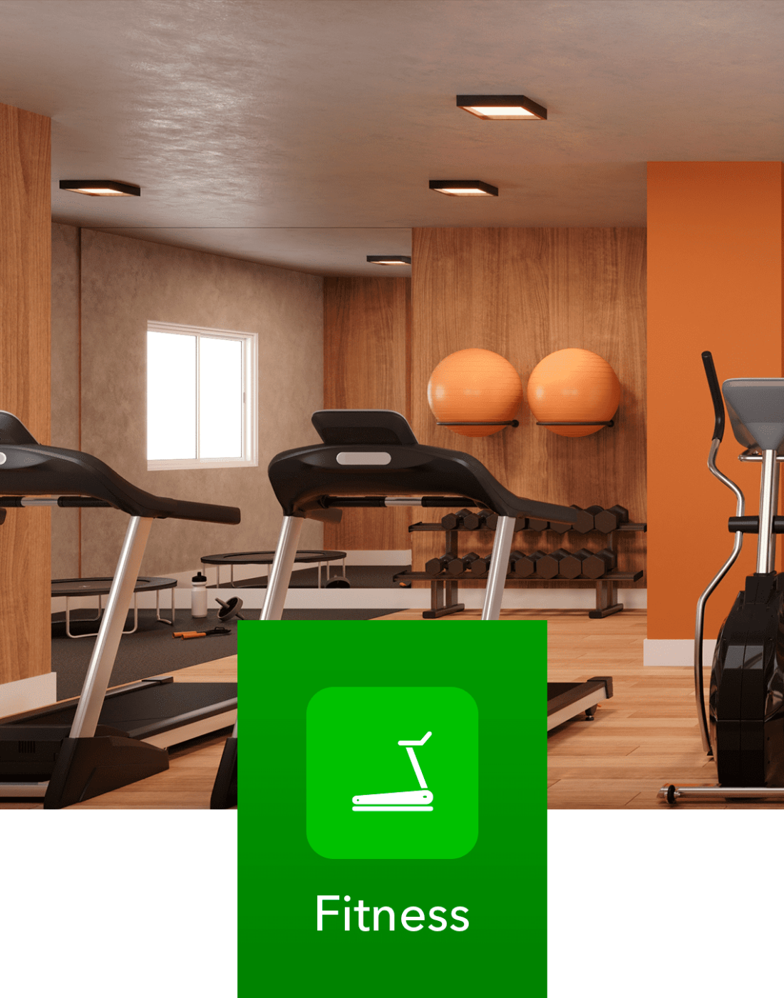 Fitness